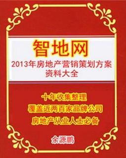 房地產營銷策劃與信息咨詢全攻略 從策略到執行